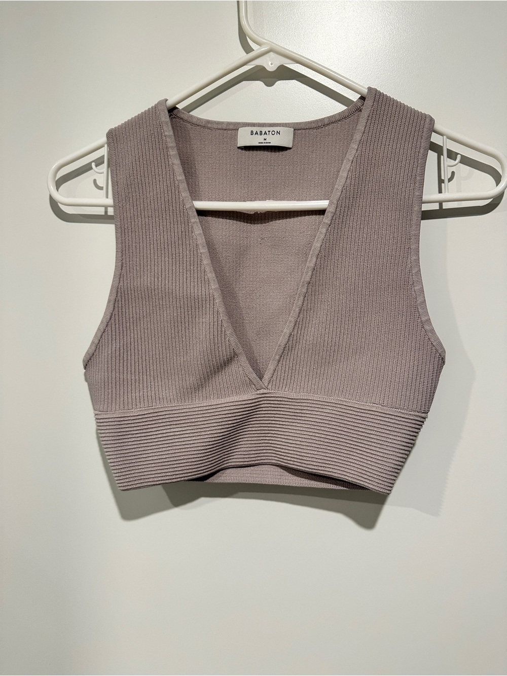 Babaton Aritzia Ribbed Deep V-Neck Crop